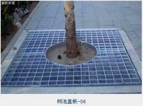 ��������ظǸǰ�